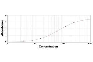 ELISA analysis of C4A polyclonal antibody  under 2 ug/mL working concentration. (Complement C4 anticorps)