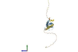 AlphaFold protein structure predicition of Human Recombinant MS4A1 Protein, UniprotID P11836