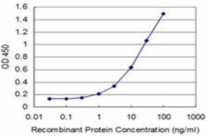 Detection limit for recombinant GST tagged MEF2A is approximately 1ng/ml as a capture antibody. (MEF2A anticorps  (AA 71-170))