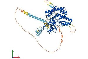 AlphaFold protein structure predicition of Mouse Recombinant Pi4k2a Protein, UniprotID Q2TBE6