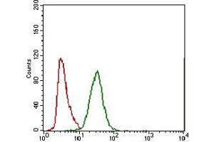 Flow cytometric analysis of A549 cells using ABCC4 mouse mAb (green) and negative control (red).