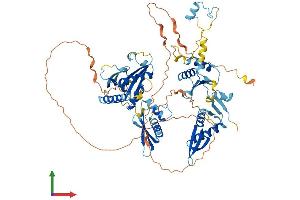 AlphaFold protein structure predicition of Mouse Recombinant Nkrf Protein, UniprotID Q8BY02