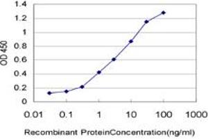 Detection limit for recombinant GST tagged MYBL2 is approximately 0.