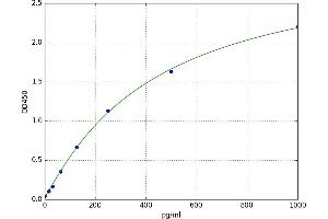 Unc-51 Like Kinase 1 (ULK1) ELISA Kit