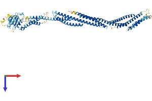 AlphaFold protein structure predicition of Mouse Recombinant Sestd1 Protein, UniprotID Q80UK0