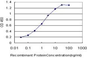 Detection limit for recombinant GST tagged LHX4 is approximately 0. (LHX4 anticorps  (AA 208-306))
