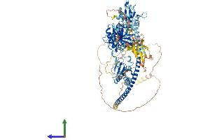 AlphaFold protein structure predicition of Human Recombinant TXNDC11 Protein, UniprotID Q6PKC3