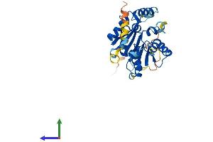 AlphaFold protein structure predicition of Human Recombinant BCDIN3D Protein, UniprotID Q7Z5W3