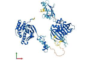 AlphaFold protein structure predicition of Mouse Recombinant Hsd17b4 Protein, UniprotID P51660