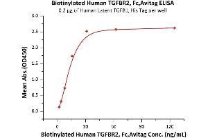 Immobilized Human Latent TGFB1, His Tag (ABIN4949126,ABIN4949127) at 2 μg/mL (100 μL/well) can bind Biotinylated Human TGFBR2, Fc,Avitag (ABIN6973281) with a linear range of 2-16 ng/mL (QC tested).