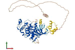 AlphaFold protein structure predicition of Human Recombinant CDK16 Protein, UniprotID Q00536
