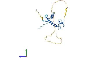AlphaFold protein structure predicition of Human Recombinant ZFAND5 Protein, UniprotID O76080