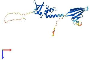 AlphaFold protein structure predicition of Mouse Recombinant Kctd15 Protein, UniprotID Q8K0E1