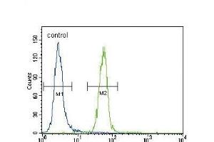 FYN Antibody (N-term) (ABIN392098 and ABIN2841850) flow cytometric analysis of Hela cells (right histogram) compared to a negative control cell (left histogram). (FYN anticorps  (N-Term))