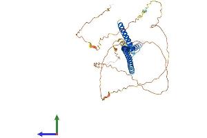 AlphaFold protein structure predicition of Human Recombinant CENPU Protein, UniprotID Q71F23