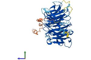 AlphaFold protein structure predicition of Human Recombinant WDR89 Protein, UniprotID Q96FK6