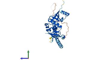 AlphaFold protein structure predicition of Human Recombinant TSEN34 Protein, UniprotID Q9BSV6