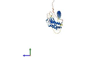 AlphaFold protein structure predicition of Mouse Recombinant Rab3il1 Protein, UniprotID Q8VDV3