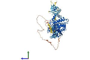 AlphaFold protein structure predicition of Human Recombinant OCRL Protein, UniprotID Q01968