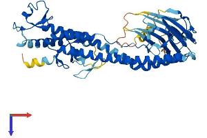 AlphaFold protein structure predicition of Human Recombinant TRIM49 Protein, UniprotID P0CI25
