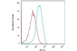 Flow Cytometric Analysis of Human HEK293 cells using KSP-Cadherin Recombinant Rabbit Monoclonal Antibody (CDH16/1532R) followed by Goat anti-rabbit IgG-CF488 (Blue); Isotype Control (Red).