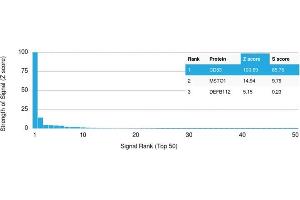 Analysis of Protein Array containing >19,000 full-length human proteins using CD63 Mouse Monoclonal Antibody (LAMP3/2790) Z- and S- Score: The Z-score represents the strength of a signal that a monoclonal antibody (MAb) (in combination with a fluorescently-tagged anti-IgG secondary antibody) produces when binding to a particular protein on the HuProtTM array.