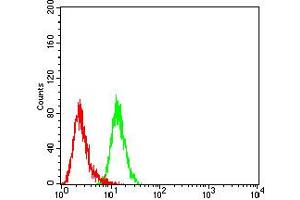 Flow cytometric analysis of HL-60 cells using CD195 mouse mAb (green) and negative control (red). (CCR5 anticorps)