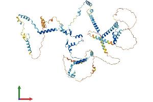 AlphaFold protein structure predicition of Human Recombinant UTP14A Protein, UniprotID Q9BVJ6