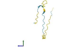 AlphaFold protein structure predicition of Human Recombinant NREP Protein, UniprotID Q16612