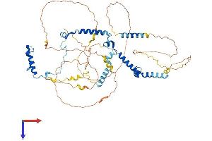 AlphaFold protein structure predicition of Mouse Recombinant Phactr1 Protein, UniprotID Q2M3X8