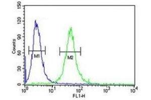 GATA2 antibody flow cytometric analysis of 293 cells (green) compared to a negative control (blue).