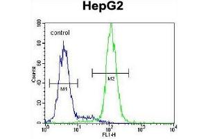 CST9 Antibody (C-term) flow cytometric analysis of HepG2 cells (right histogram) compared to a negative control cell (left histogram).