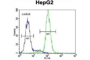 CST9 Antibody (C-term) flow cytometric analysis of HepG2 cells (right histogram) compared to a negative control cell (left histogram). (CST9 anticorps  (C-Term))