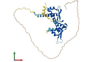 AlphaFold protein structure predicition of Human Recombinant MAGEA8 Protein, UniprotID P43361