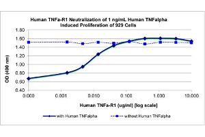 SDS-PAGE of Human Tumor Necrosis Factor Receptor Type 1 Recombinant Protein Bioactivity of Human Tumor Necrosis Factor Receptor Type 1 Recombinant Protein. (TNFRSF1A Protéine)