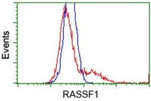 HEK293T cells transfected with either RC213525 overexpress plasmid (Red) or empty vector control plasmid (Blue) were immunostained by anti-RASSF1 antibody (ABIN2454272), and then analyzed by flow cytometry. (RASSF1 anticorps)