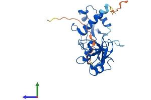 AlphaFold protein structure predicition of Mouse Recombinant Trpt1 Protein, UniprotID Q8K3A2