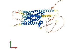 AlphaFold protein structure predicition of Mouse Recombinant Drd1 Protein, UniprotID Q61616