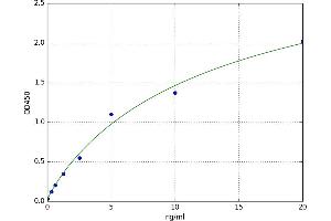 BCL2-Like 11 (Apoptosis Facilitator) (BCL2L11) ELISA Kit