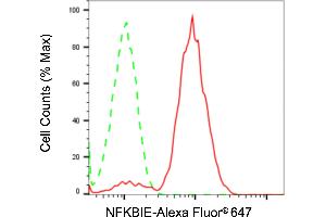 Flow cytometric analysis of NFKBIE expression in Raji cells using NFKBIE antibody (ABIN7799644), 1:2,000).