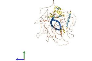 AlphaFold protein structure predicition of Human Recombinant SYNM Protein, UniprotID O15061