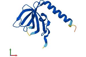 AlphaFold protein structure predicition of Human Recombinant TEN1 Protein, UniprotID Q86WV5