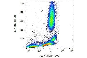 Flow cytometry detection of CD222 in human peripheral blood with anti-CD222 (MEM-240) PE. (IGF2R anticorps  (PE))