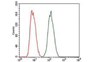 Flow cytometric analysis of MCF-7 cells using PRKACG mouse mAb (green) and negative control (red).