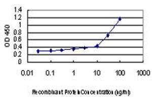 Detection limit for recombinant GST tagged NDN is approximately 0.
