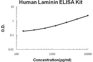 Human Laminin Accusignal ELISA Kit Human Laminin AccuSignal ELISA Kit Standard curve. (Laminin Kit ELISA)