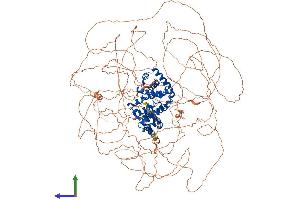 AlphaFold protein structure predicition of Human Recombinant CCNB3 Protein, UniprotID Q8WWL7