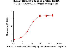 ELISA plate pre-coated by 2 μg/mL (100 μL/well) Human CD2 Protein, hFc Tag (ABIN7092752, ABIN7272322 and ABIN7272323) can bind Anti-CD2 antibody, IgG1 Chimeric mAb in a linear range of 0.