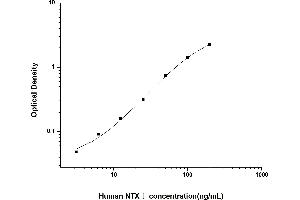 Cross Linked N-Telopeptide of Type I Collagen (NTX-I) ELISA Kit
