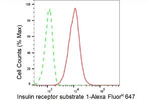 Flow cytometric analysis of Insulin receptor substrate 1 expression in HT- cells using Insulin receptor substrate 1 antibody (ABIN7799046), 1:2,000). (Recombinant IRS1 anticorps)